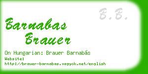 barnabas brauer business card
