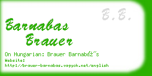 barnabas brauer business card